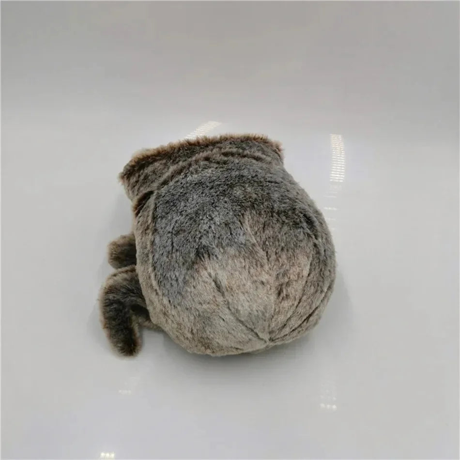 Spider Plush Toy